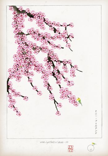 VIII - White Eyed Bird in Sakura by Tony Fernandes